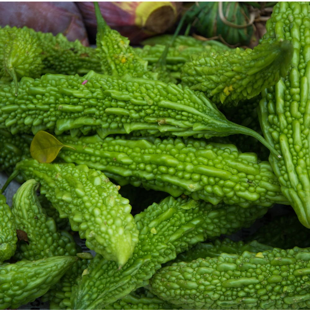 aahan agro spices Bitter Gourd image
